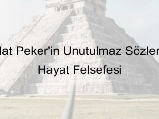 sedat peker sözleri