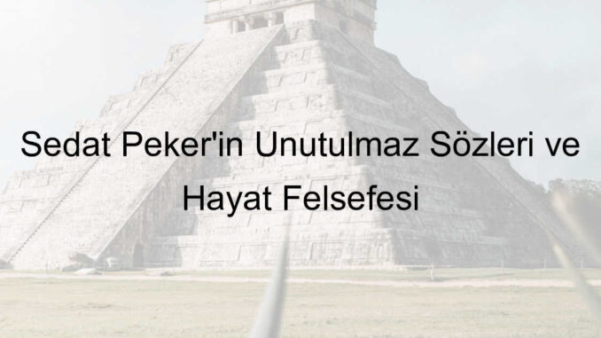 sedat peker sözleri